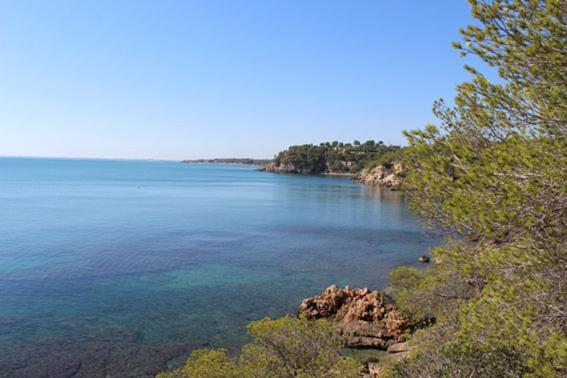 Casita De Pescadores Con Vista Al Puerto L'Ametlla de Mar Exterior foto