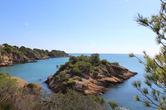 Casita De Pescadores Con Vista Al Puerto L'Ametlla de Mar Exterior foto
